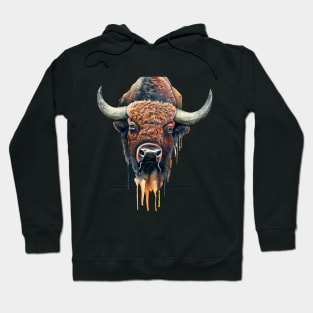 Buffalo Art Hoodie